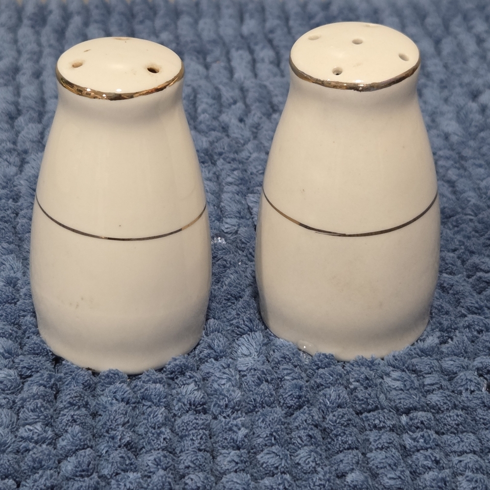 Royal Kent Poland Embossed White Gold Trim Salt & Pepper Set